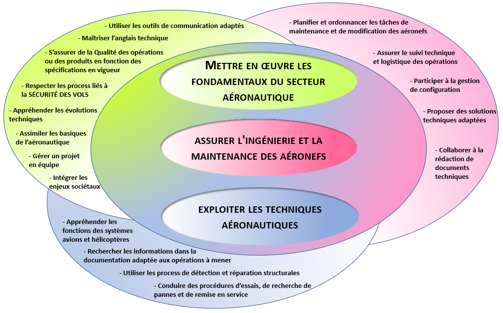 Blocs de Compétences LPMA